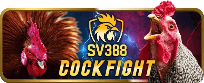 Rút tiền an toàn 365bet Casino
