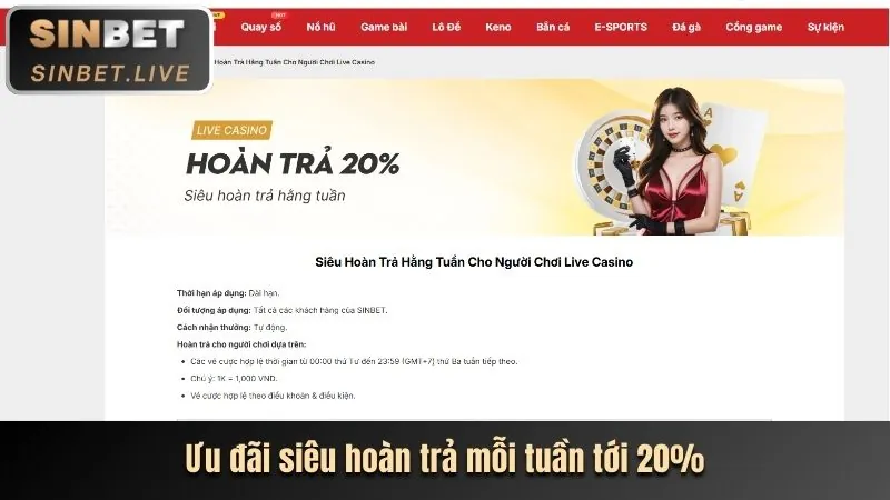 Tổng quan các chuyên mục blog Sòng bạc 365bet